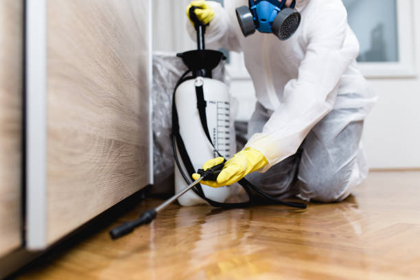 Best Mosquito Control Services  in Brunswick, GA