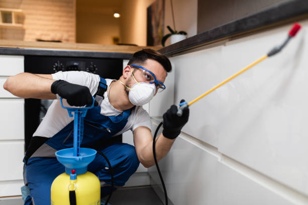 Best Wasp Removal Services  in Brunswick, GA