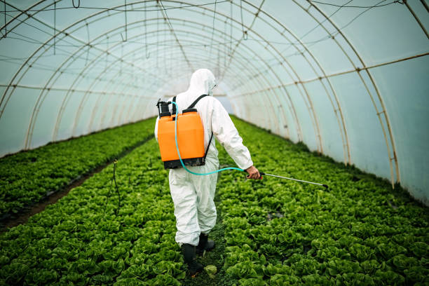 Best Best Pest Control Companies  in Brunswick, GA