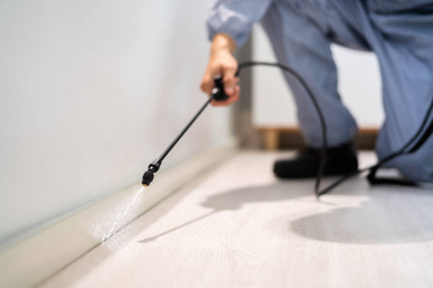 Pest Prevention Services in Brunswick, GA