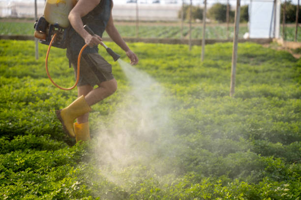 Best Pest Removal Services  in Brunswick, GA