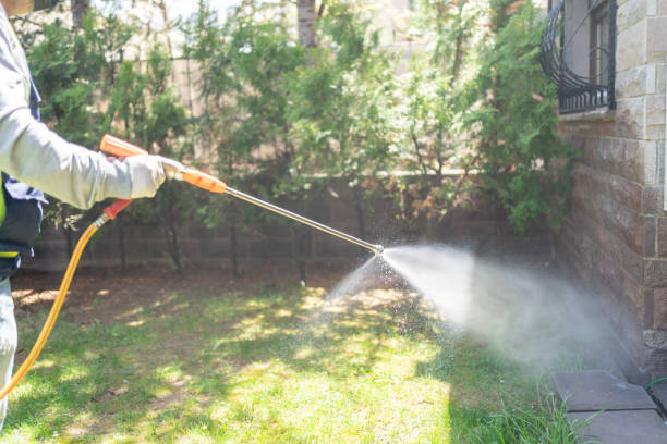 Trusted Brunswick, GA Pest Control Experts