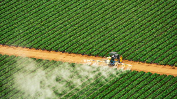 Best Affordable Exterminators  in Brunswick, GA