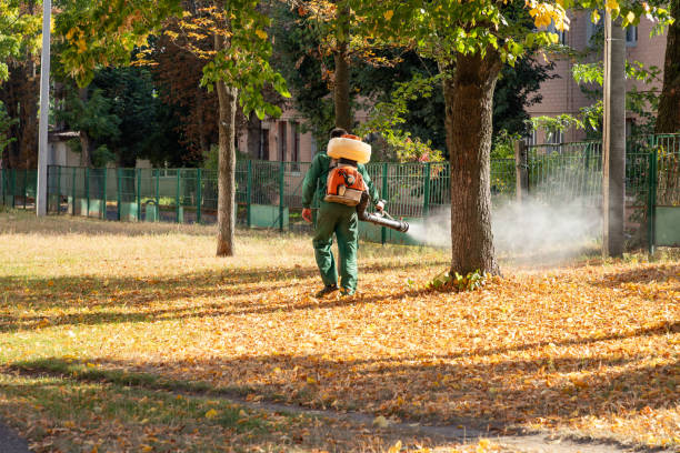 Best Insect Control  in Brunswick, GA