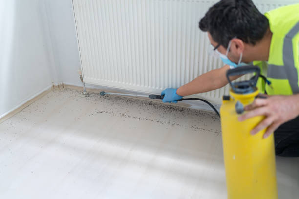 Best Cockroach Control Services  in Brunswick, GA