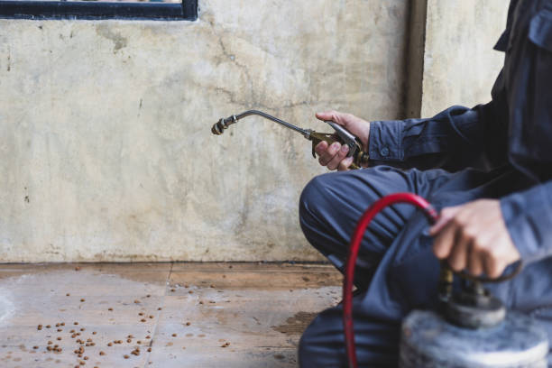 Best Pest Prevention Services  in Brunswick, GA